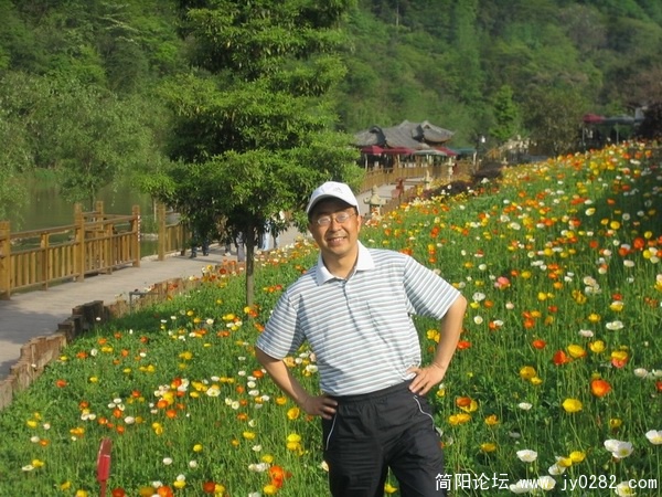 树林。阳光4.jpg