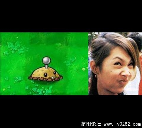 欢乐的杨丞琳大战土豆BoB!!!,我好爱小土豆的土拨鼠一样的牙齿！