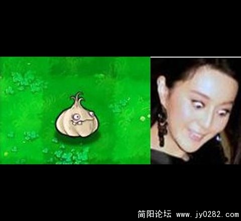 范冰冰的这张图让多少人曾经欢乐了一把