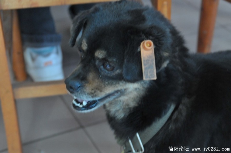 conew_jyk_2812.jpg