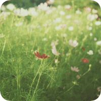 韩系怀~3.GIF
