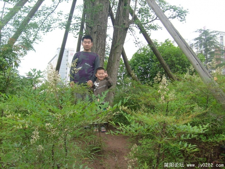 S7305043.JPG