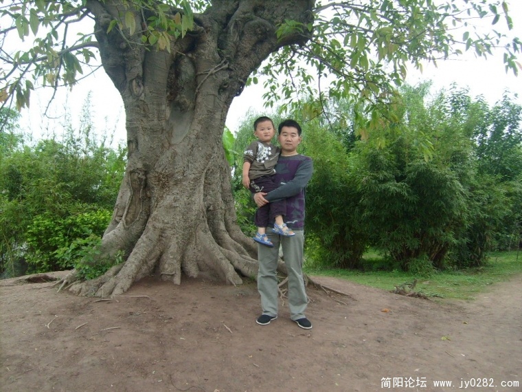 S7305081.JPG