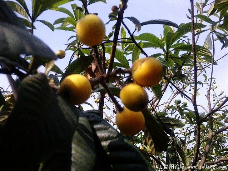 20110516026.jpg