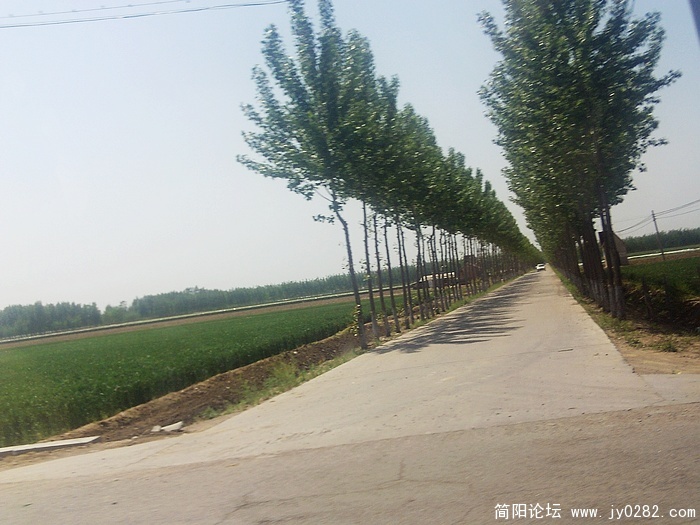 nEO_IMG_PHOT0076.jpg