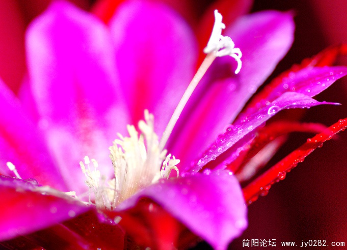 _DSC0709 副本.jpg