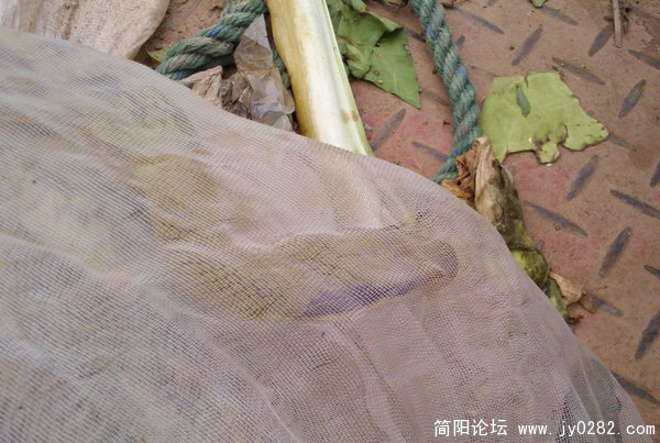 2011-05-20_09-18-07_562.jpg