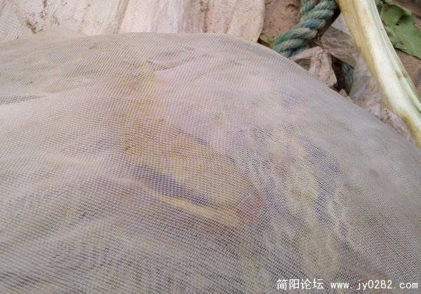 2011-05-20_09-17-27_886.jpg