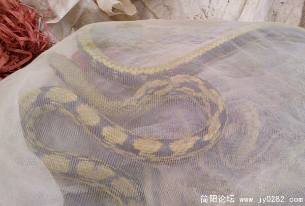 2011-05-20_09-17-02_610.jpg