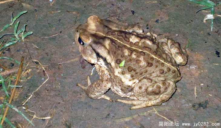 照片 115.jpg