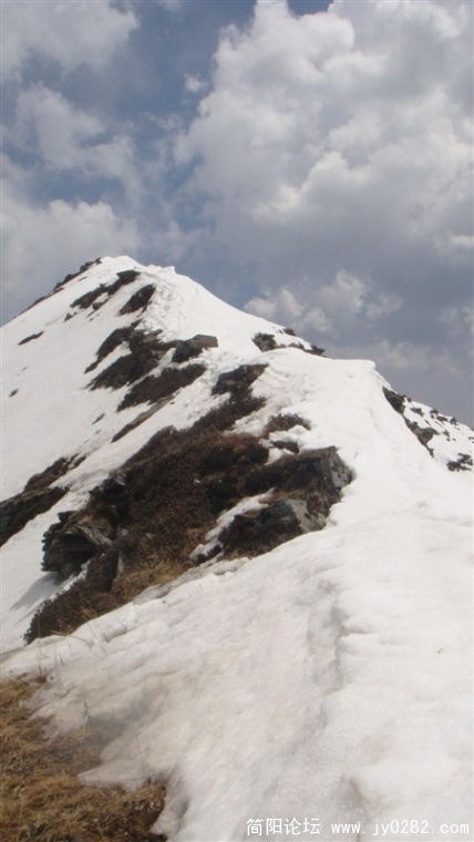 78.jpg