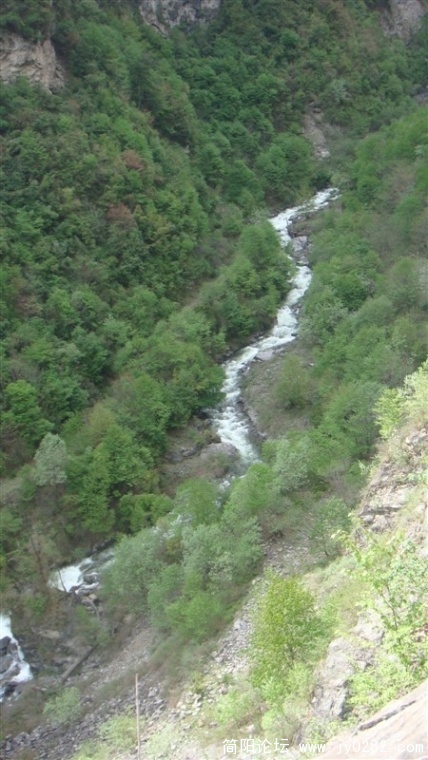 145.jpg