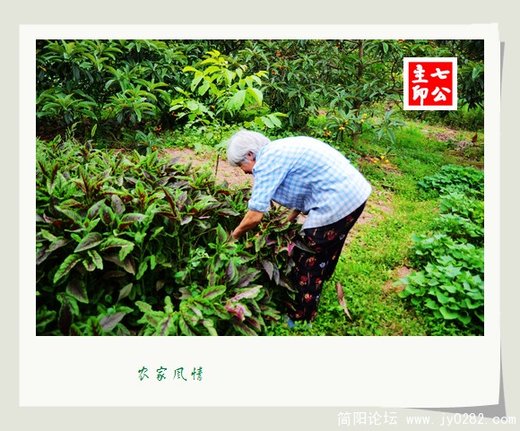2011.5.28拍摄于园艺场