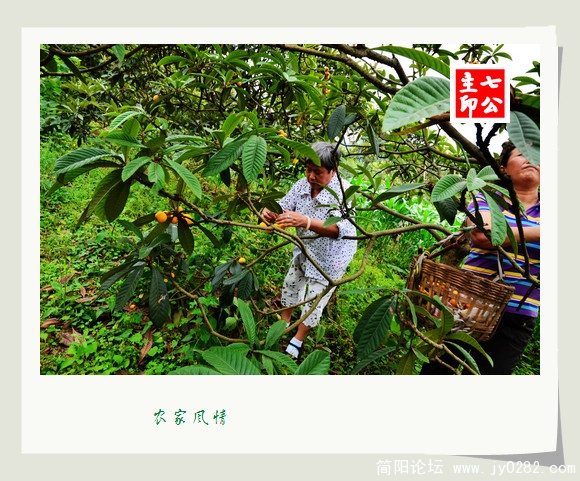 2011.5.28拍摄于园艺场