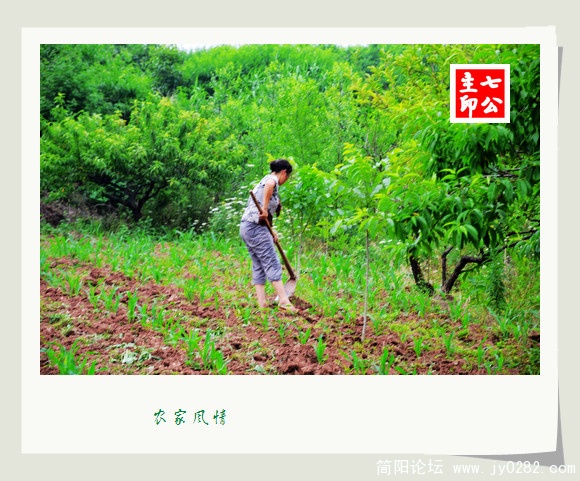 2011.5.28拍摄于园艺场