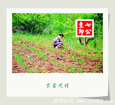 2011.5.28拍摄于园艺场