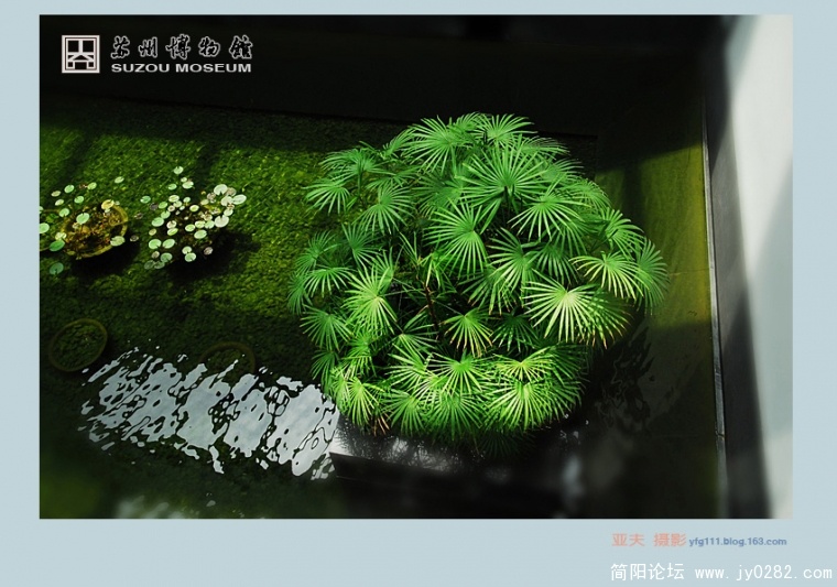 苏州博物馆A——04副本.jpg