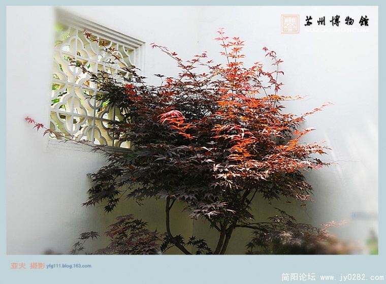 忠王府——05副本.jpg