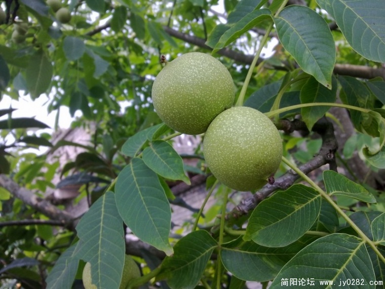 20110525344.jpg
