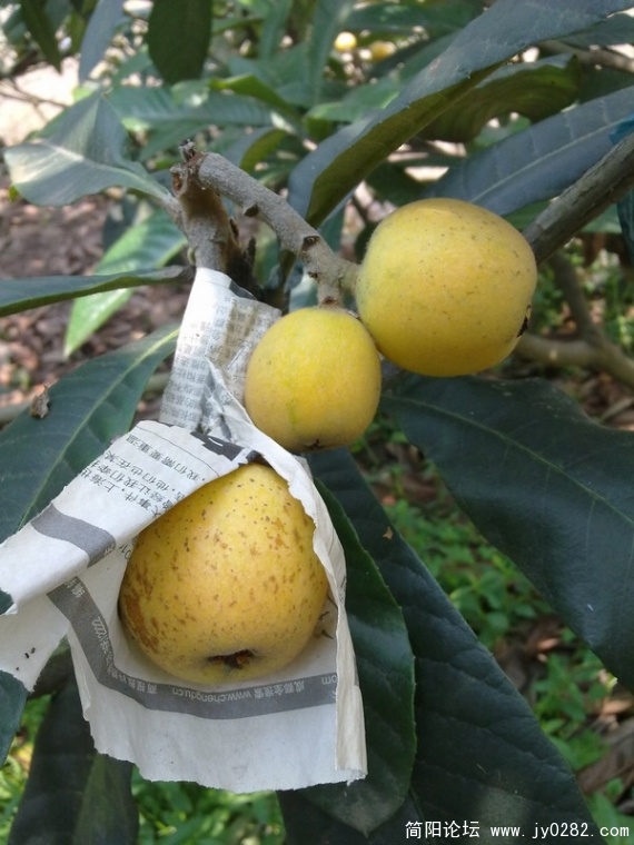 20110525354.jpg