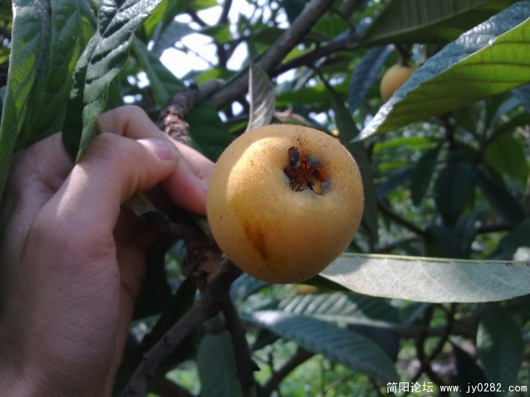 20110525352.jpg