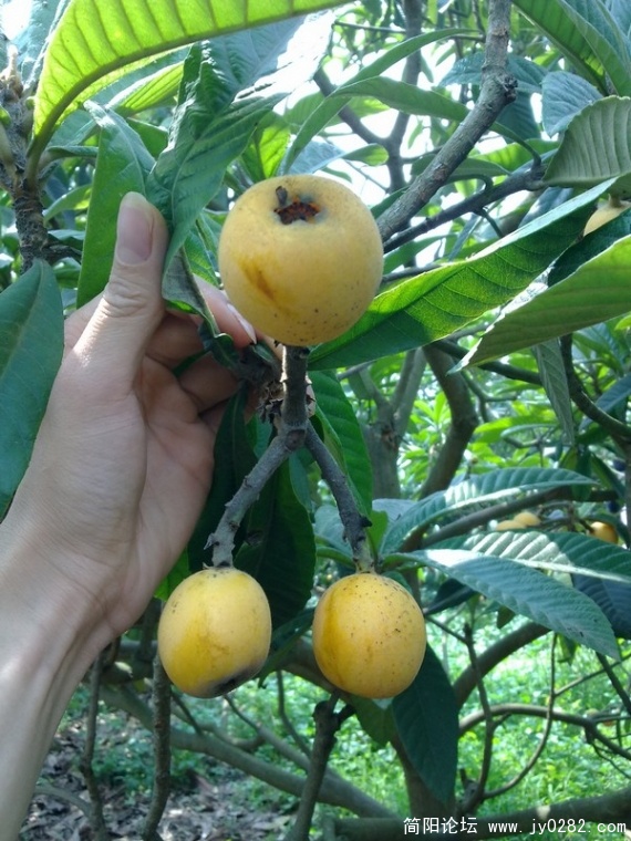 20110525353.jpg