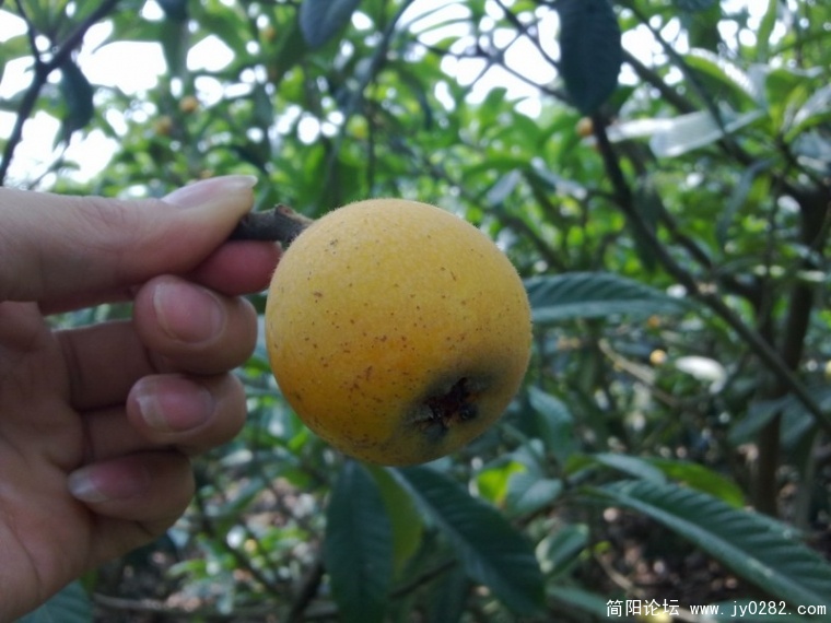20110525358.jpg