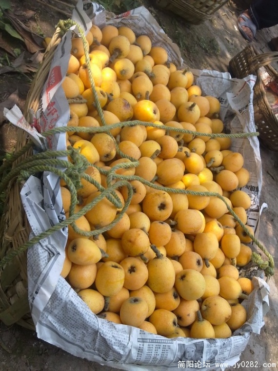 20110525362.jpg