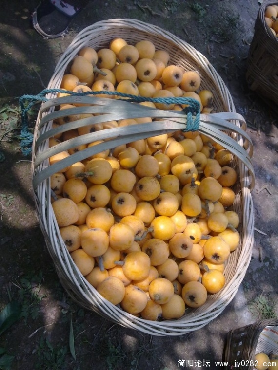 20110525363.jpg