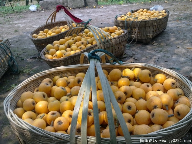 20110525367.jpg
