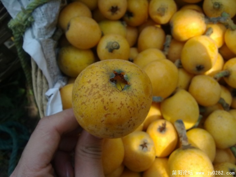 20110525365.jpg