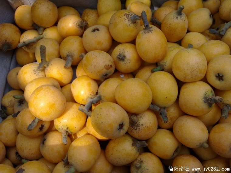 20110525369.jpg