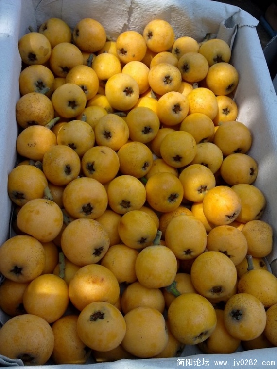 20110525372.jpg