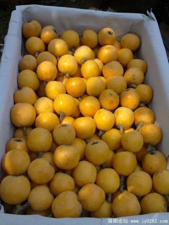 20110525371.jpg