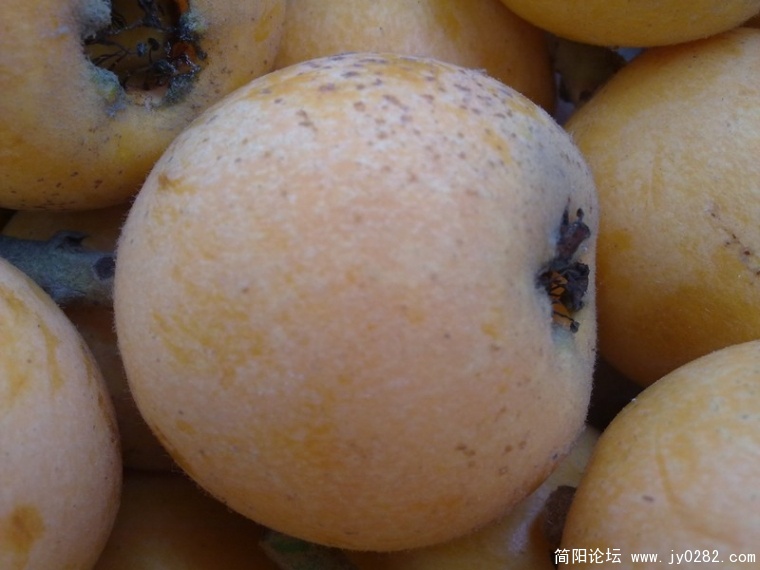 20110525373.jpg