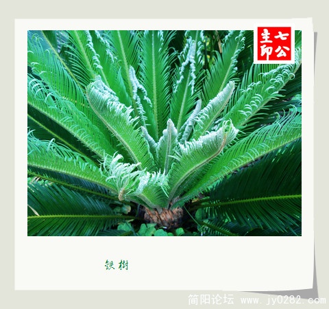 2011.61-2拍摄于空分厂