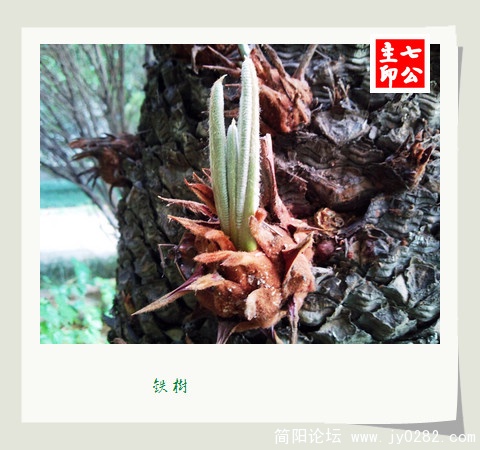 2011.61-2拍摄于空分厂