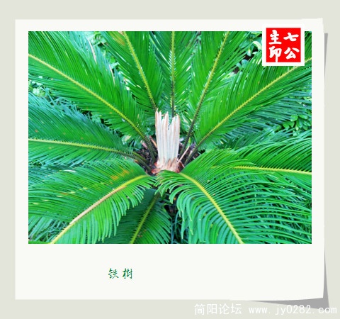 2011.61-2拍摄于空分厂