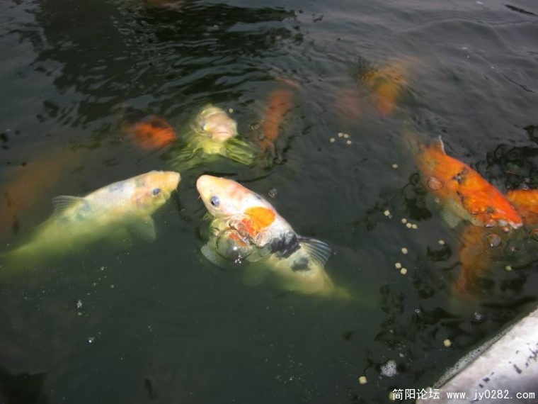 调整大小 照片3 029.jpg