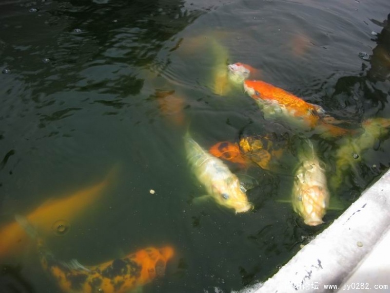调整大小 照片3 031.jpg
