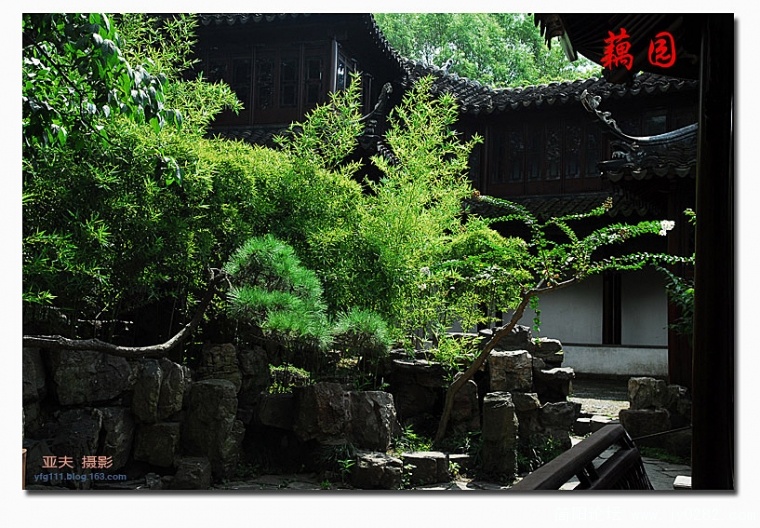 藕园——01副本.jpg