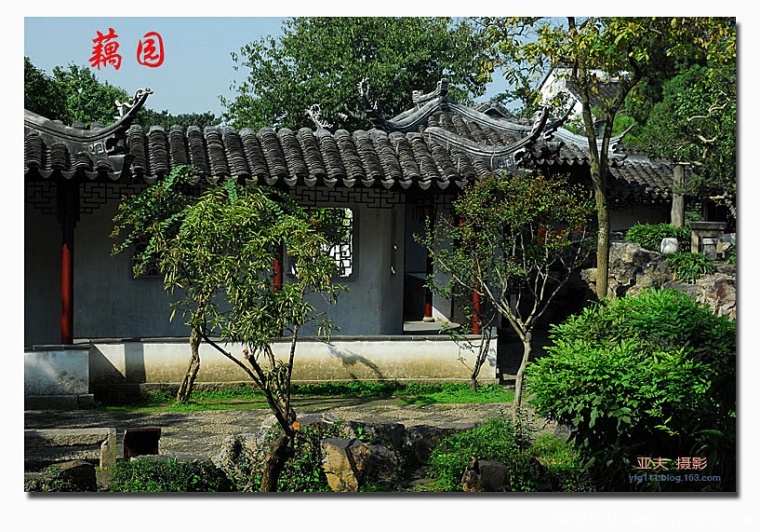 藕园——05副本.jpg