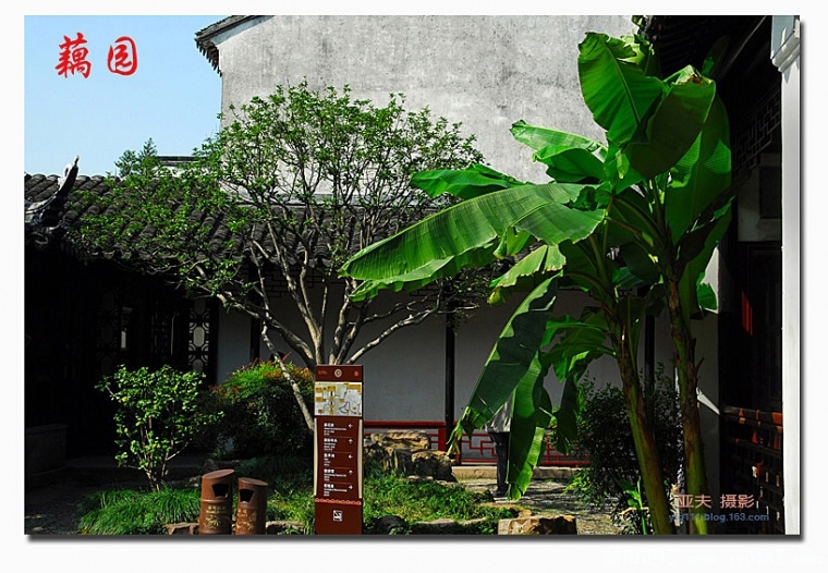 藕园——08副本.jpg