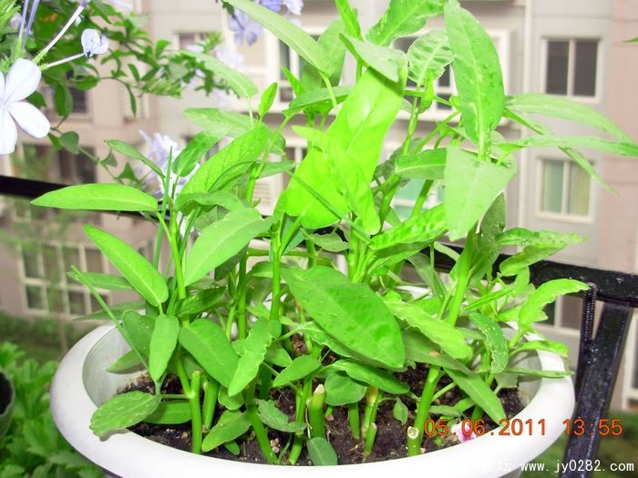 DSCN0659.JPG