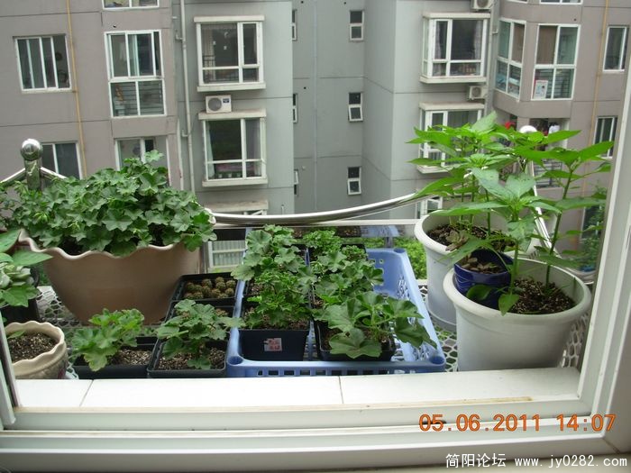 DSCN0670.JPG