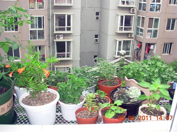 DSCN0669.JPG