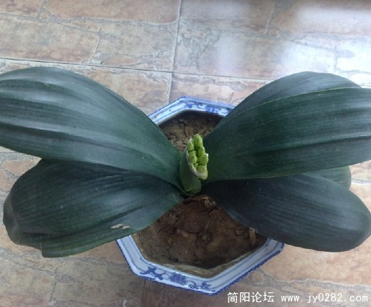未命名.jpg