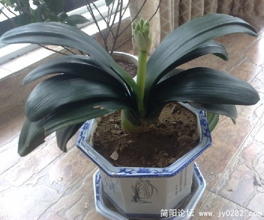 未命名.jpg