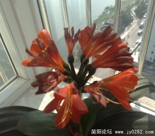 未命名.jpg