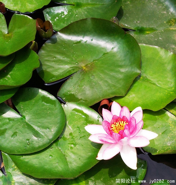 2011.6.6拍摄于空分厂